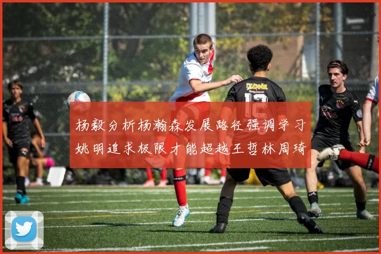 杨毅分析杨瀚森发展路径强调学习姚明追求极限才能超越王哲林周琦状态